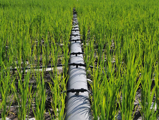 安徽农翔节水科技说说推广普及节水灌溉的重要意义
